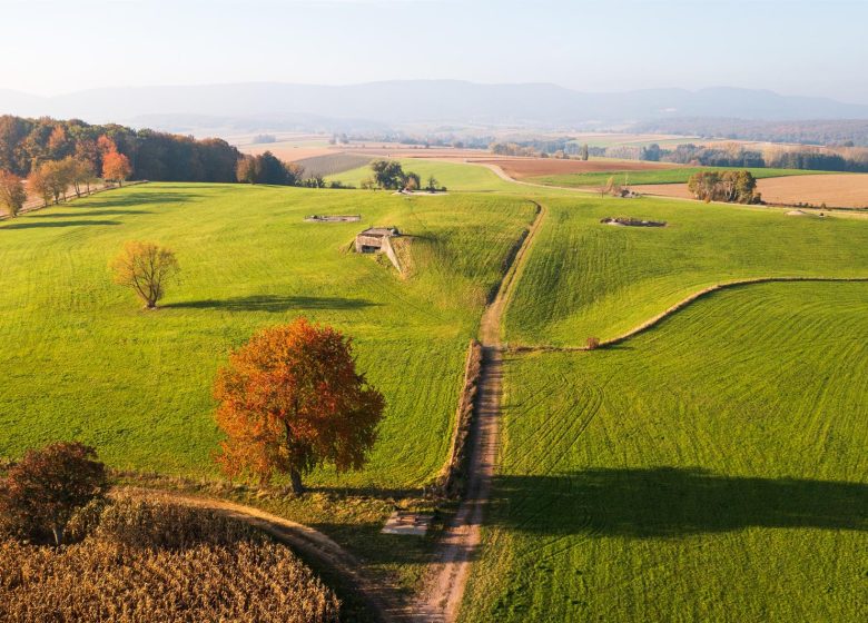 Fort de Schoenenbourg – Ligne Maginot