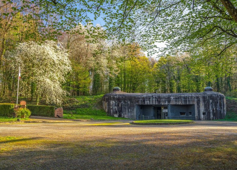 Fort de Schoenenbourg – Ligne Maginot