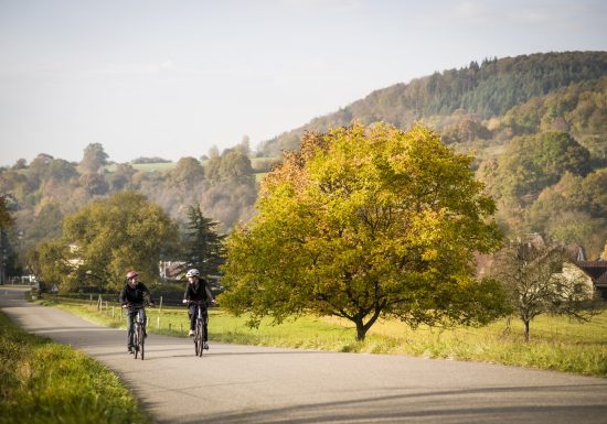 Ruta de castillos y bosques