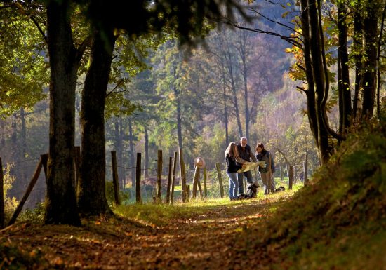 Grenzüberschreitender Wanderweg