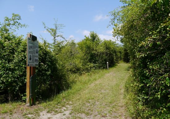 Sentier des Turcos