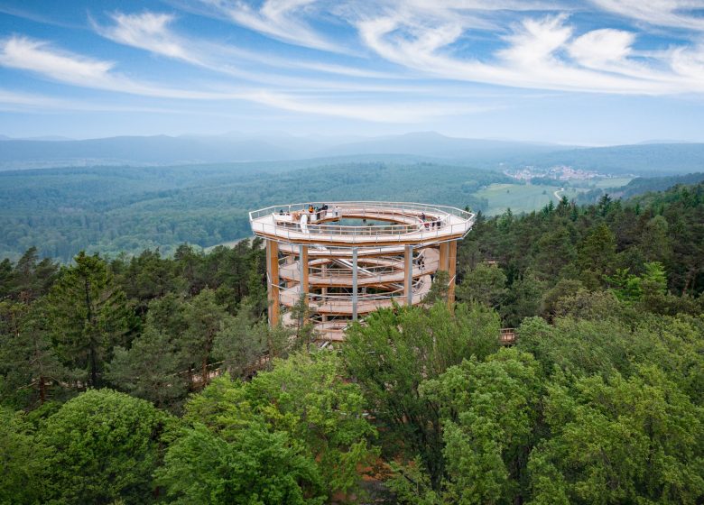 Chemin des Cimes Alsace