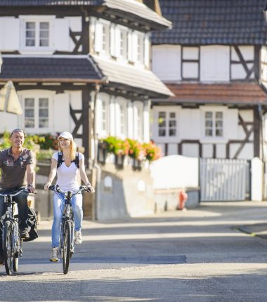 Circuit à vélo : entre villages pittoresques, Ligne Maginot et vignoble