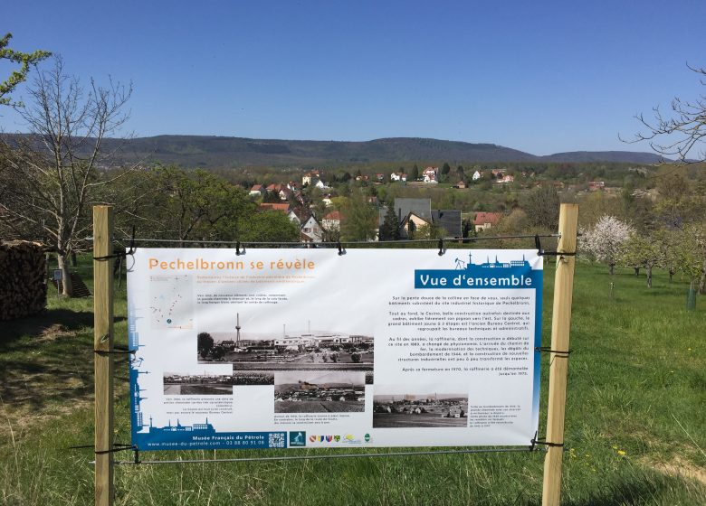 Exposition hors les murs : Pechelbronn se révèle