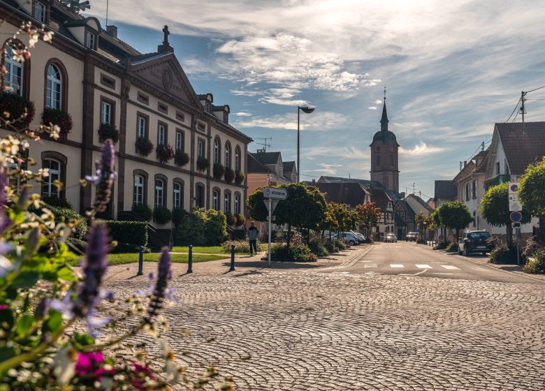 Visite commentée de Reichshoffen