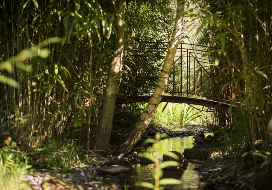 Meublé La Maison Rouge, entre végétal et minéral