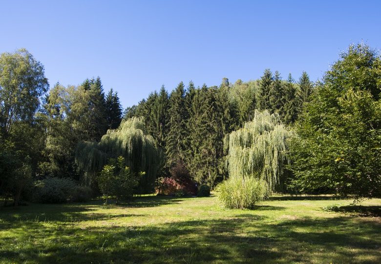 Möbliertes La Maison Rouge, zwischen pflanzlich und mineralisch