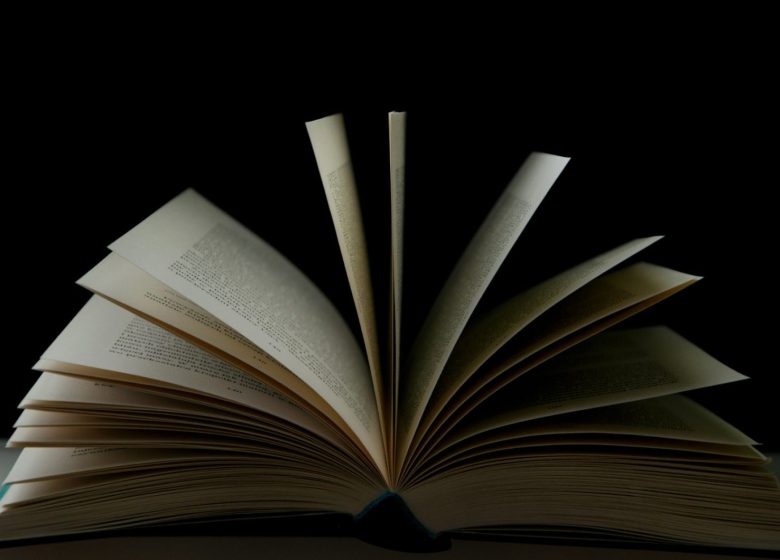 L&rsquo;écriture sans frontières