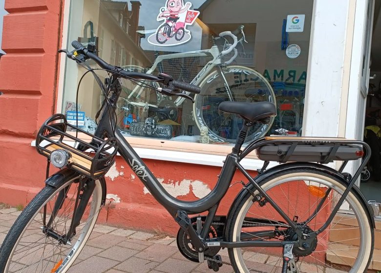 Totó en bicicleta