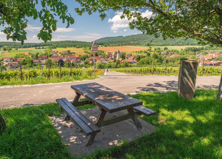 Aire de pique-nique – Reifenberg