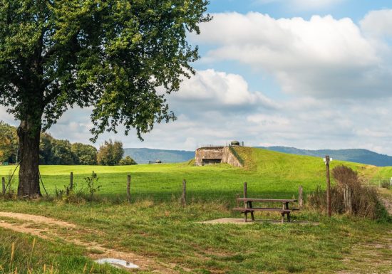 Aire de pique nique – les coupoles du Fort de Schoenenbourg