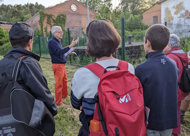 À la découverte de la formation du pétrole en Alsace du Nord