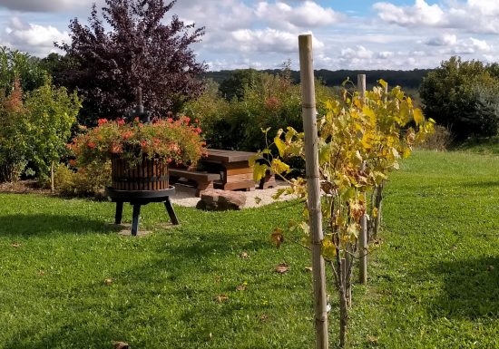 Aire de pique-nique – Route de Lobsann