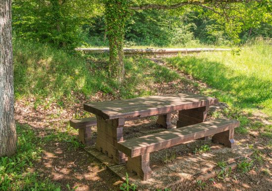 Aire de pique-nique – Route du Pfaffenschlick