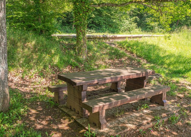 Aire de pique-nique – Route du Pfaffenschlick