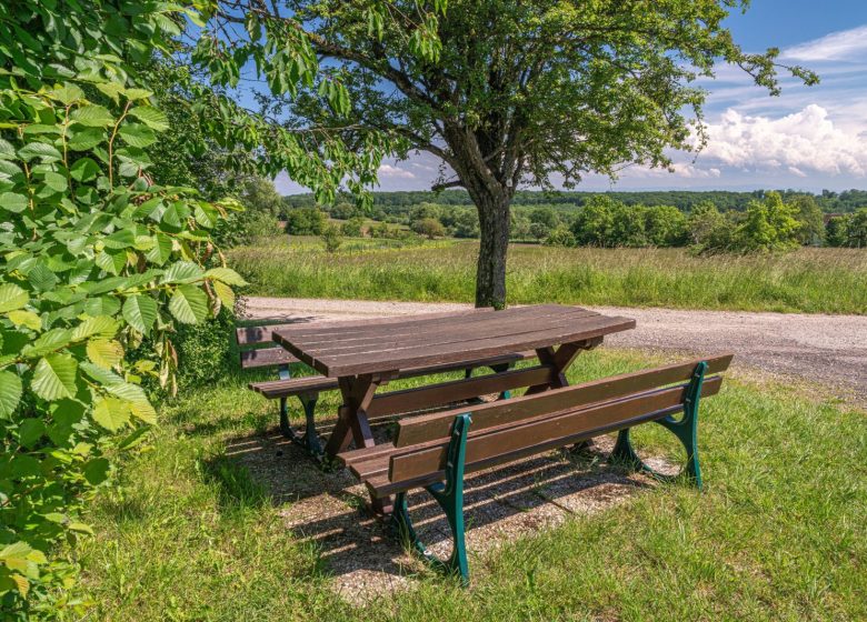 Aire de pique-nique – Rue des vignes