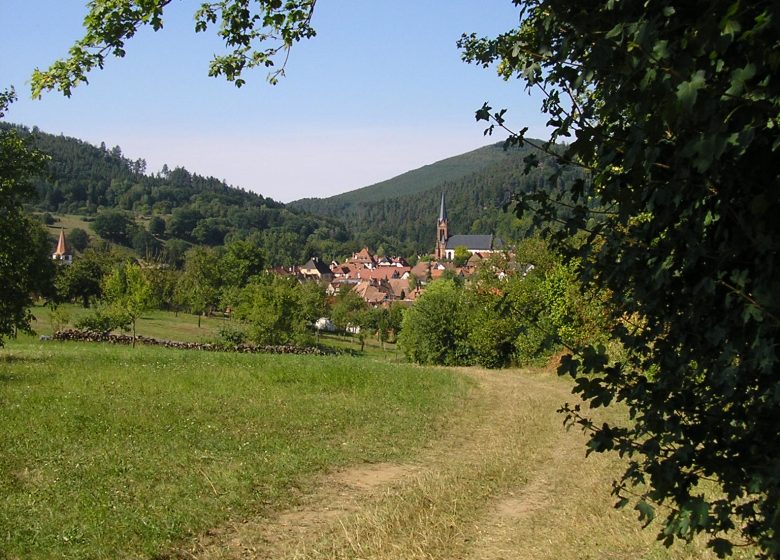 Disteldorf-rondleiding