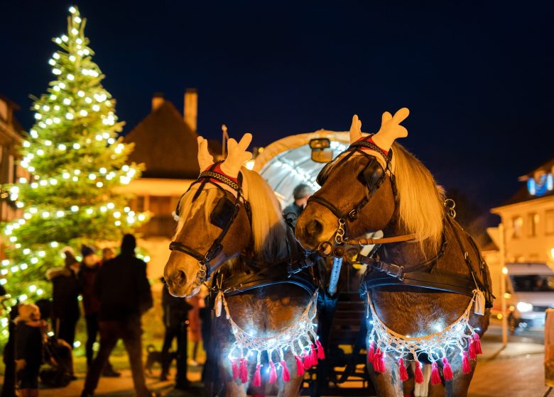 Le temps de Noël – Weihnàchtszeit in Seebach