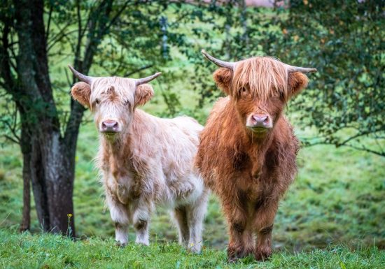 Tocht 2 Steinbachtal