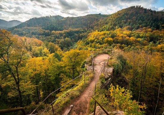 Tour 3 Steinbachtal