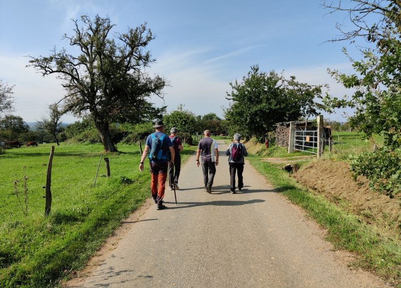 Marche des 3 villages