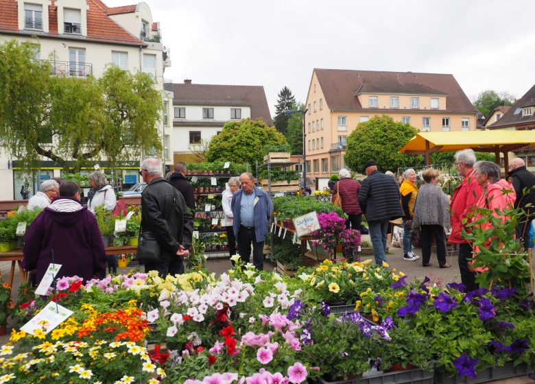 ecotourism festival