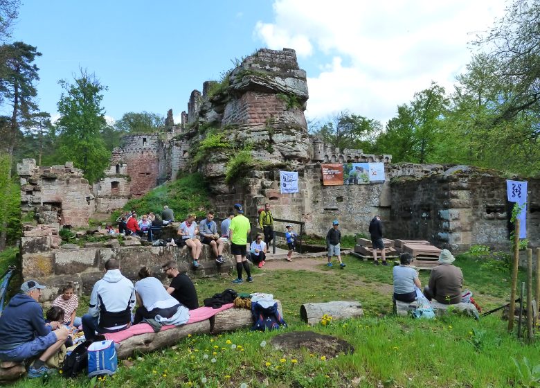 Tous aux châteaux : Visite guidée du Schoeneck