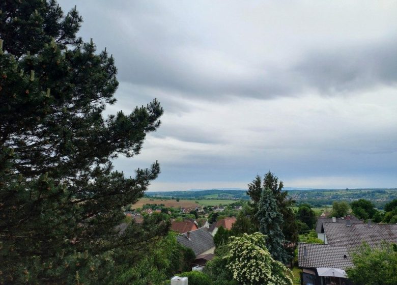 Chambres d’hôtes Les Hirondelles 67