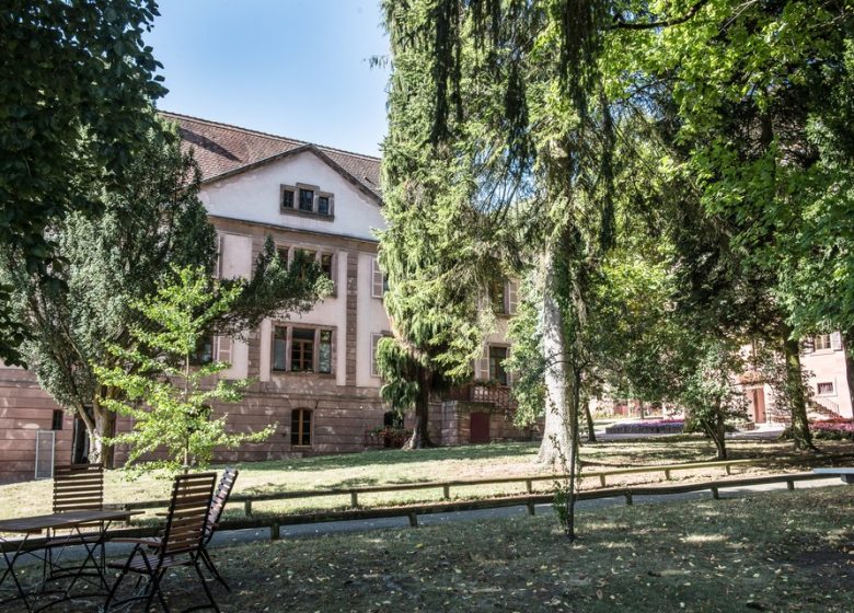 Los estudios del convento