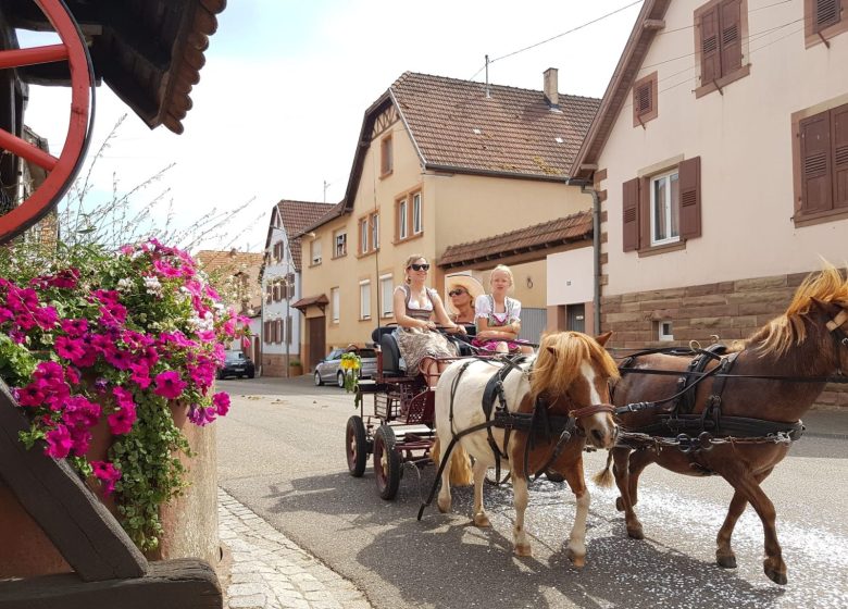 Fête d’été de la musique St-Nicolas