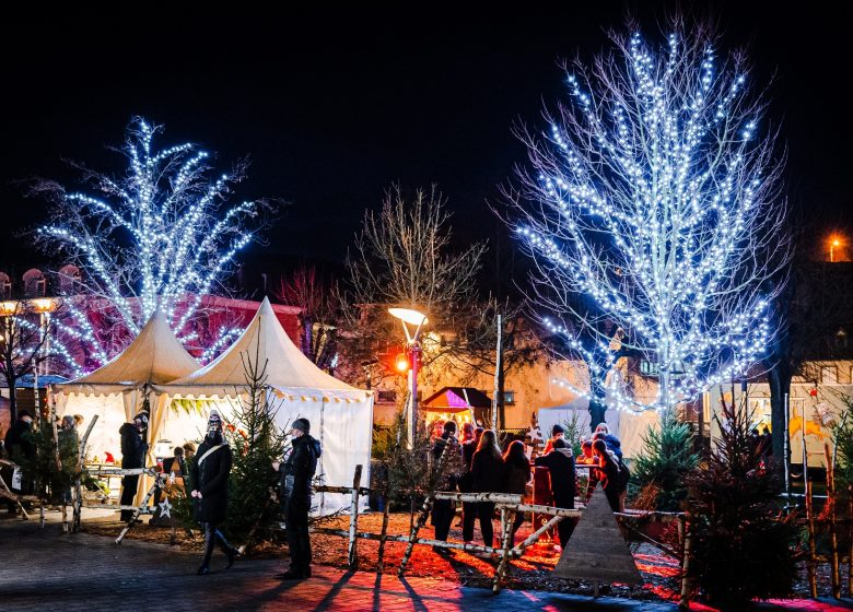 Spectacle : Cirque de Noël