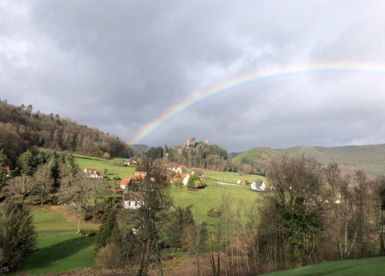 Eingerichtet von Frau Manzanares – La Bergerie