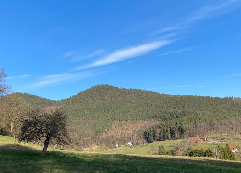 Meublé de Mme Manzanares – La Bergerie