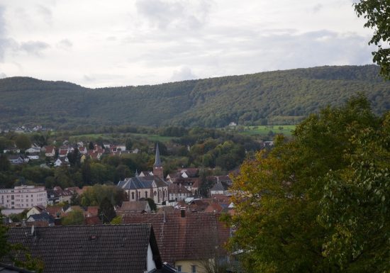 Meublé de M. Tisserant – Domaine du Falkenstein