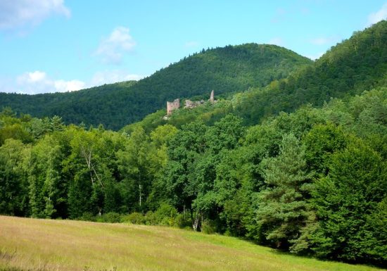 Tour de l’amitié