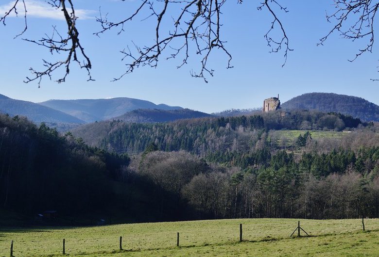 Rundwanderweg in den Nordvogesen