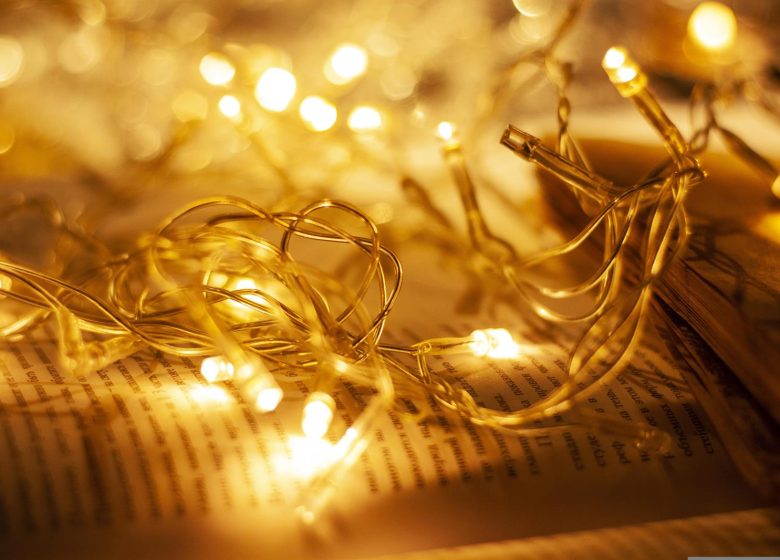 Festival l&rsquo;Alsace se(raconte) : Rêve de papier