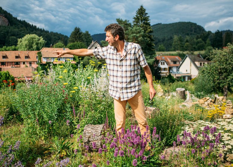 La biodiversité en Alsace : Hortus Hymenoptera