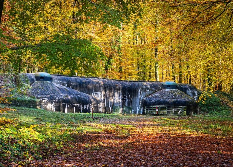 Wandeltocht van Hunspach naar Fort de Schoenenbourg