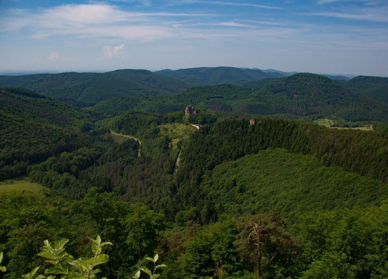 Von Burg zu Burg