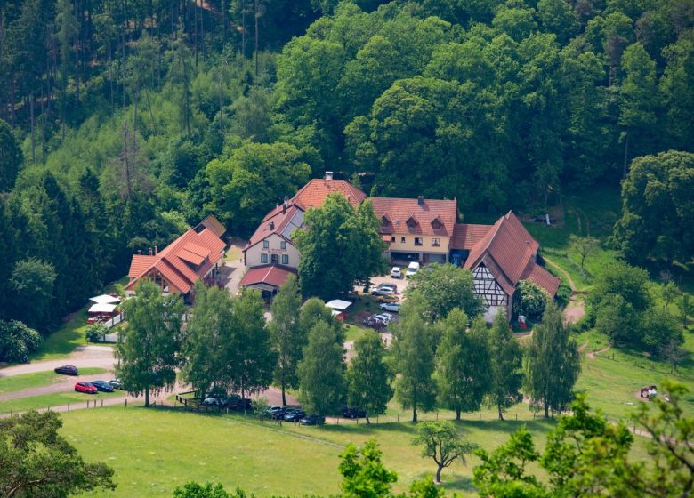 Von Burg zu Burg