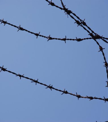 Exposition : Against forgetting