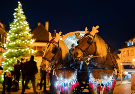 Chasse aux trésors de Noël : Une tradition alsacienne
