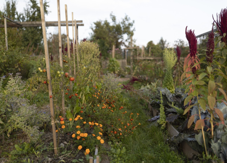 Découverte d&rsquo;un jardin privé
