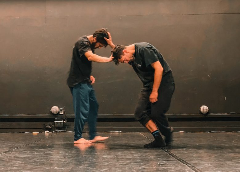 Spectacle : Segnali di Risonanza