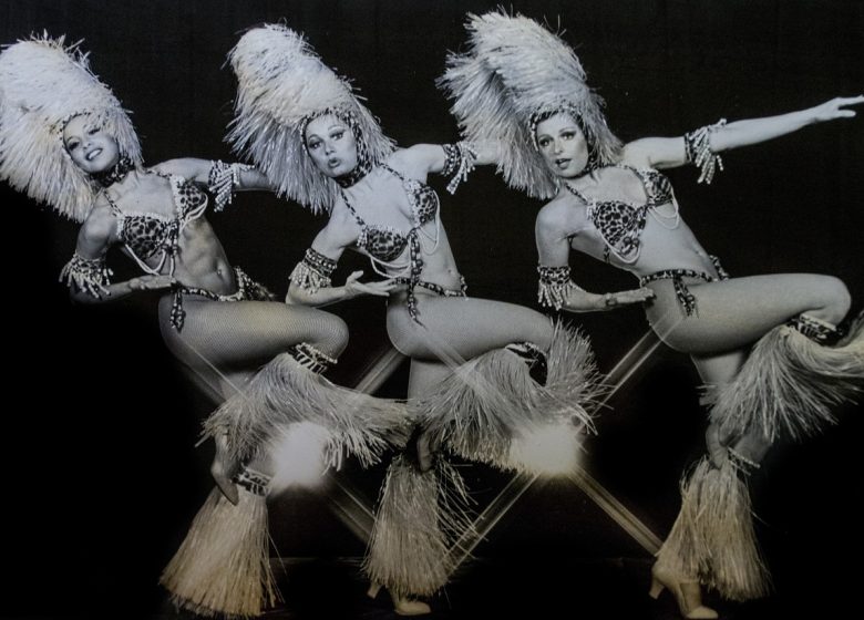 Concert des lumières : Tribute Claude François