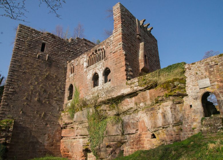 Fête de l&rsquo;écotourisme : Visite du château de la Wasenbourg