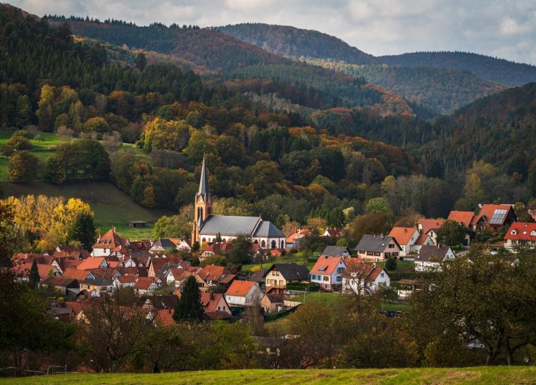 Chantier nature participatif