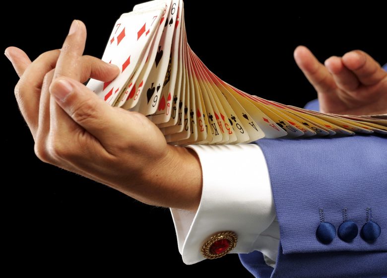 Spectacle de magie : Magika