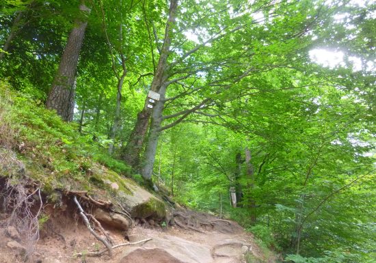 Circuit de randonnée des quatre châteaux